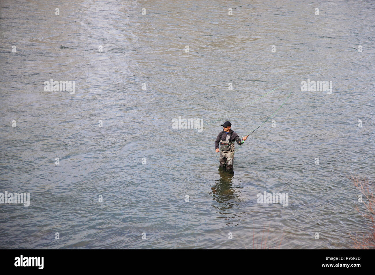 Fly fisherman casting pour la truite arc-en-ciel sur la rivière Salmon, à New York, USA Banque D'Images