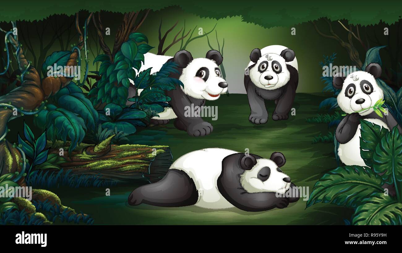 Panda dans forêt sombre illustration Illustration de Vecteur