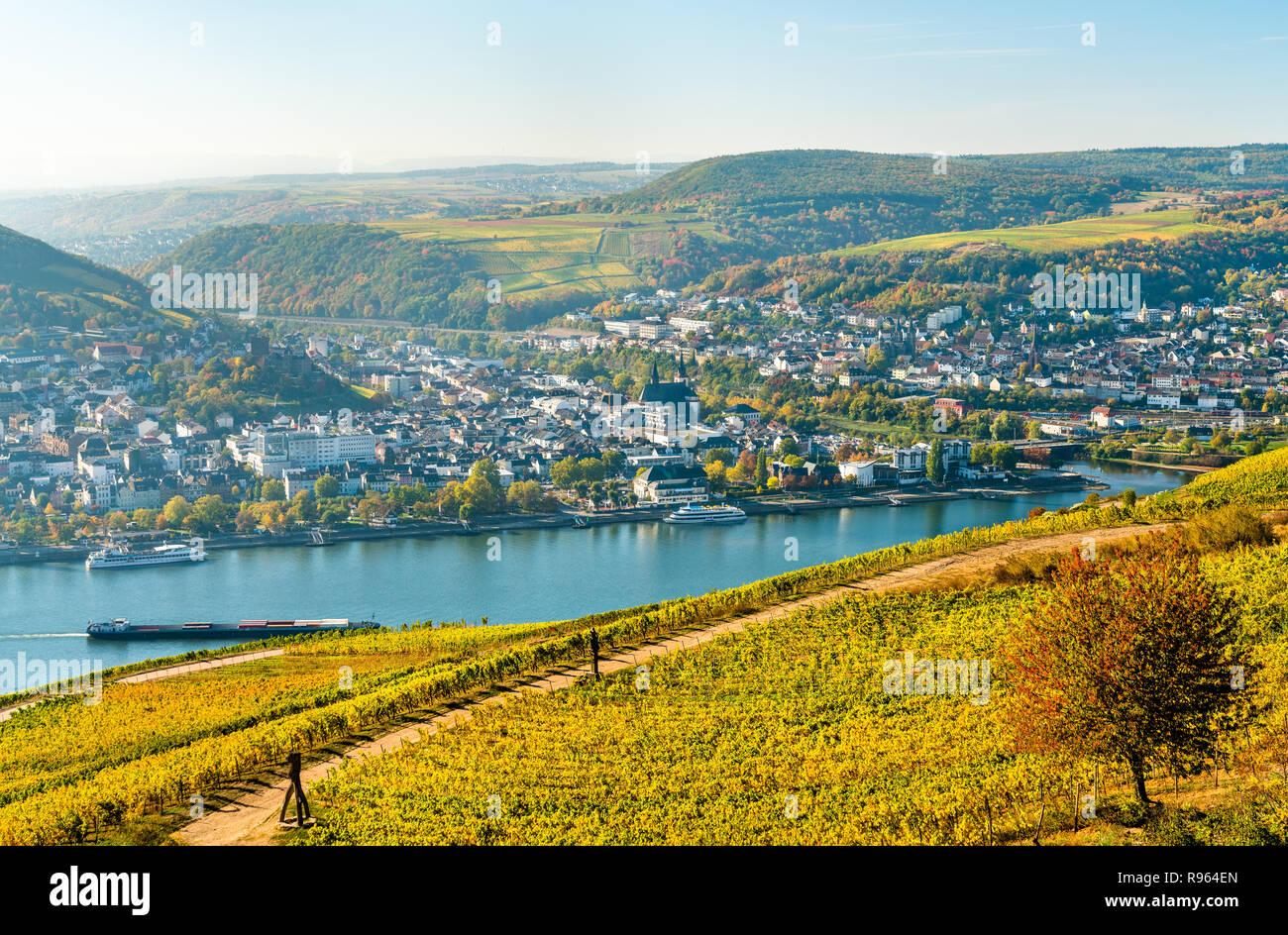 Avis de Bingen am Rhein du Rudesheim vignobles dans la vallée du Rhin, Allemagne Banque D'Images