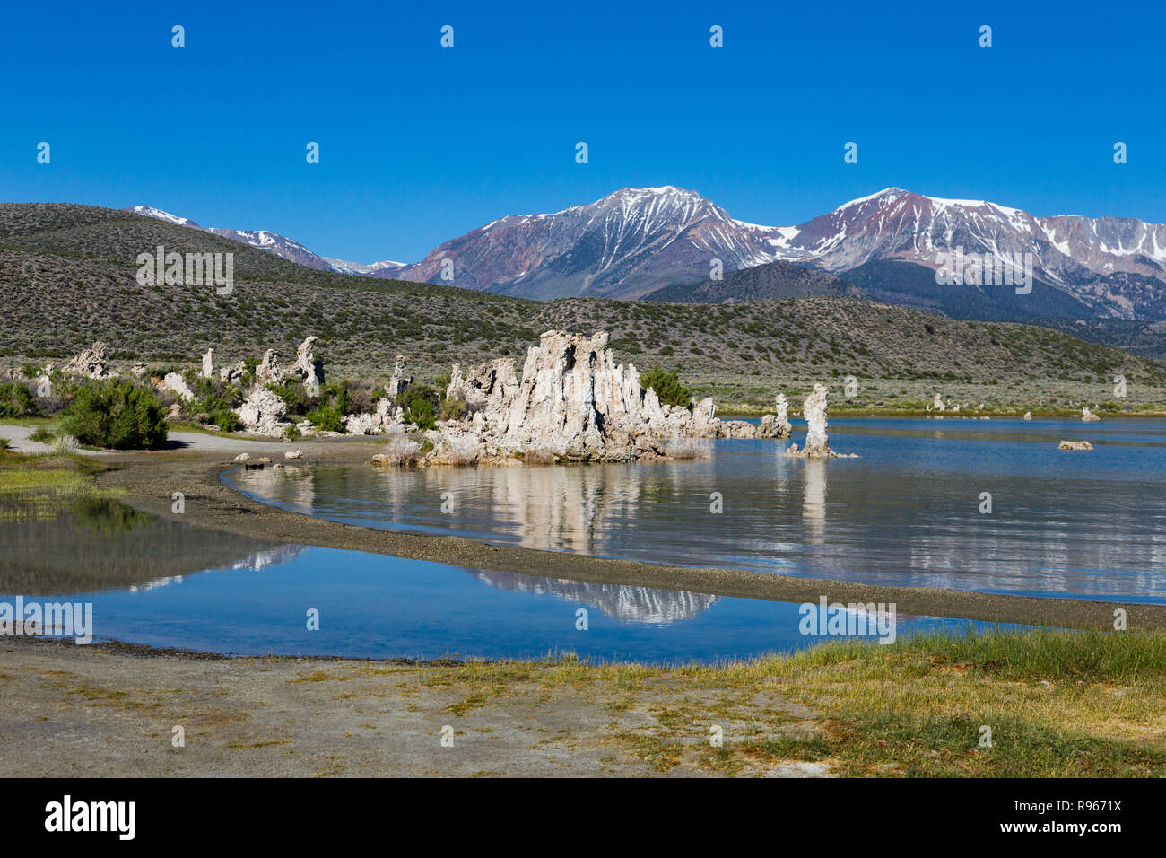 Les eaux souterraines entrez le bas du lac Mono par de petits ressorts. Il a fallu plusieurs décennies pour former le tuf bien reconnus des tours. Lorsque les niveaux du lac Banque D'Images