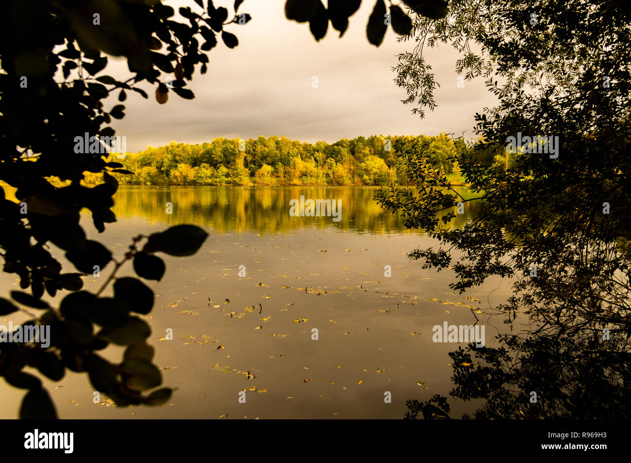 Lac encadrée reflets et couleurs d'automne / châssis Feuilles et arbres colorés Banque D'Images