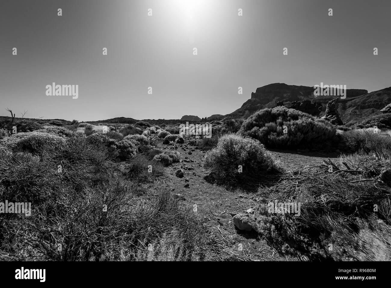 Les champs de lave de la caldera de Las Canadas du volcan Teide. Tenerife. Îles Canaries. L'Espagne. Noir et blanc. Banque D'Images Les champs de lave de la caldera de Las Canadas du volcan Teide. Tenerife. Îles Canaries. L'Espagne. Noir et blanc. Banque D'Images