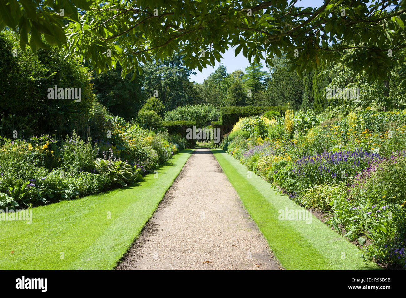 Les Fellows Garden, Clare College, Cambridge University, UK Banque D'Images