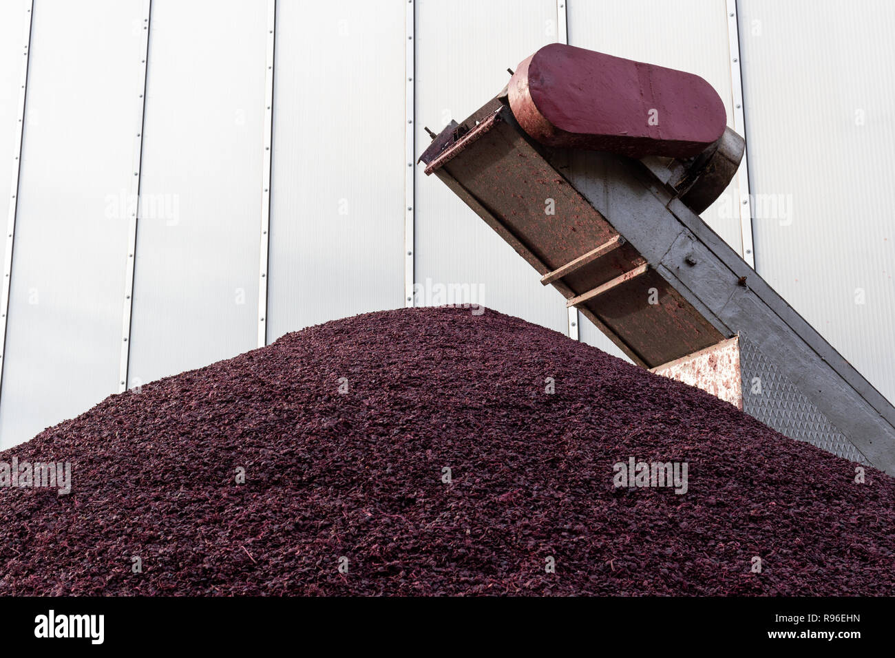 Pile de grignons est resté après avoir appuyé sur le type de franc bleu raisins pour faire du vin. Banque D'Images