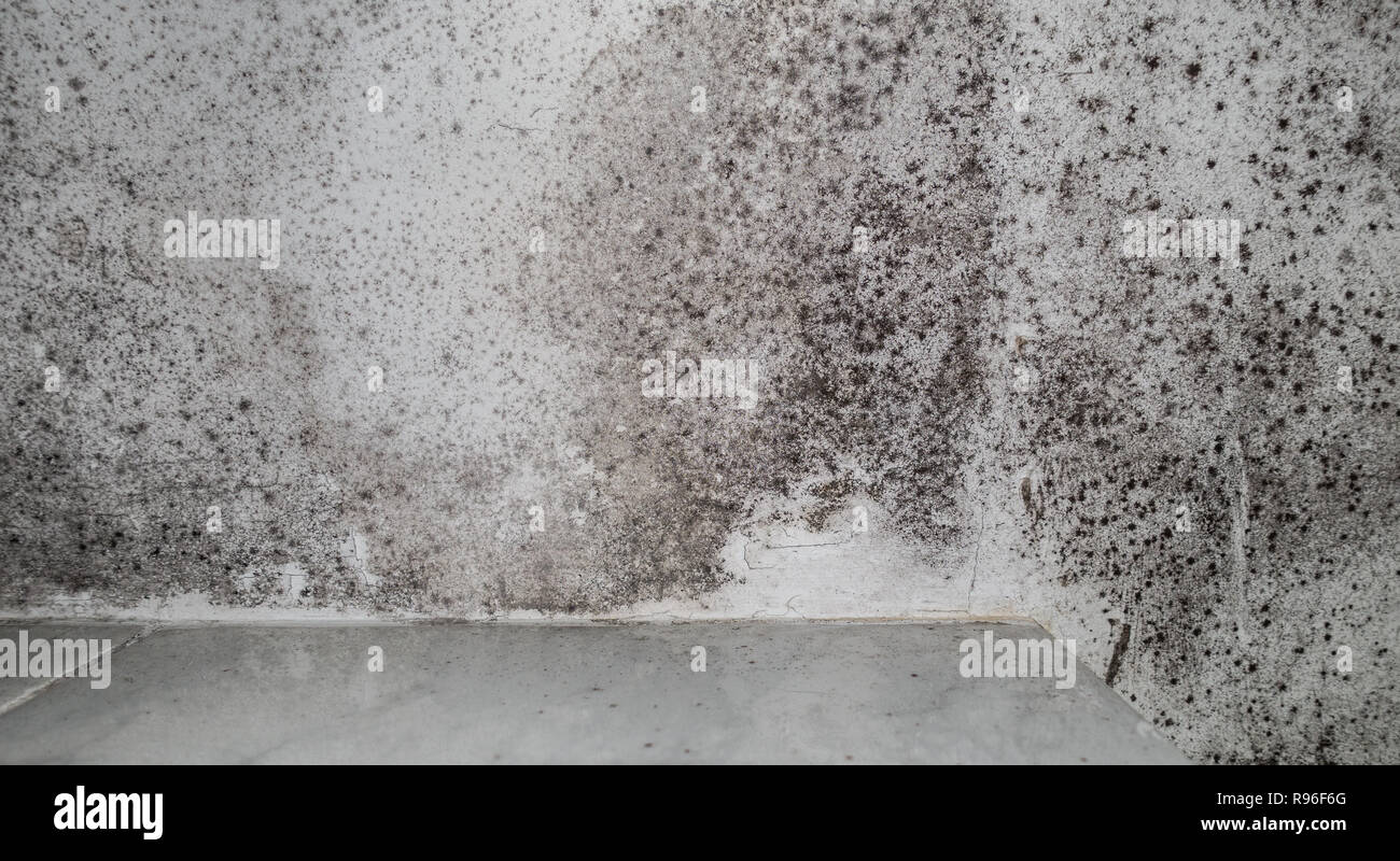 Des auréoles noires dans white roof Banque D'Images