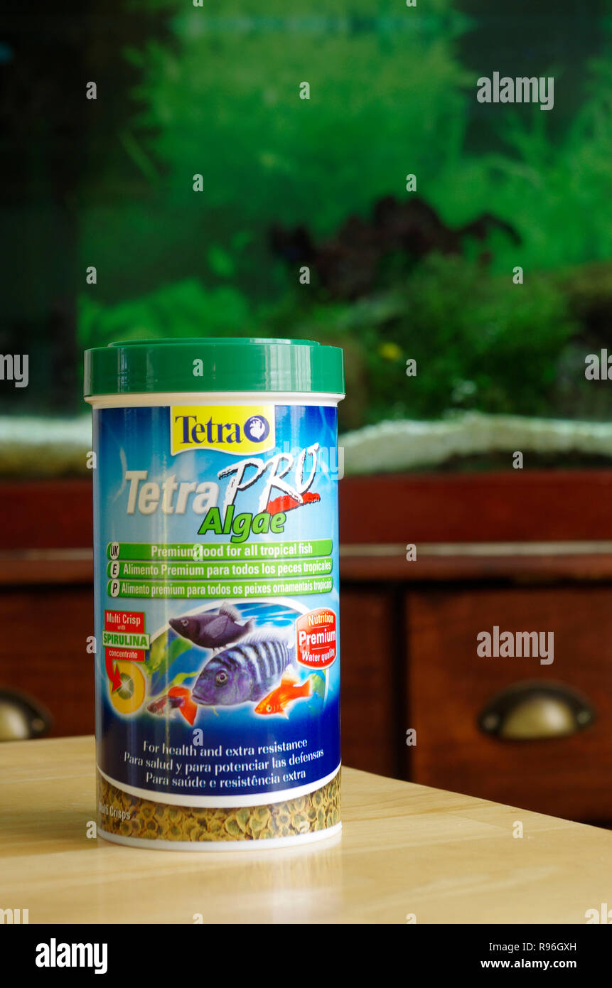 Algues Tetra Pro Animal la nourriture de poisson se défasse en face d'un aquarium ou d'Aquarium, UK Banque D'Images