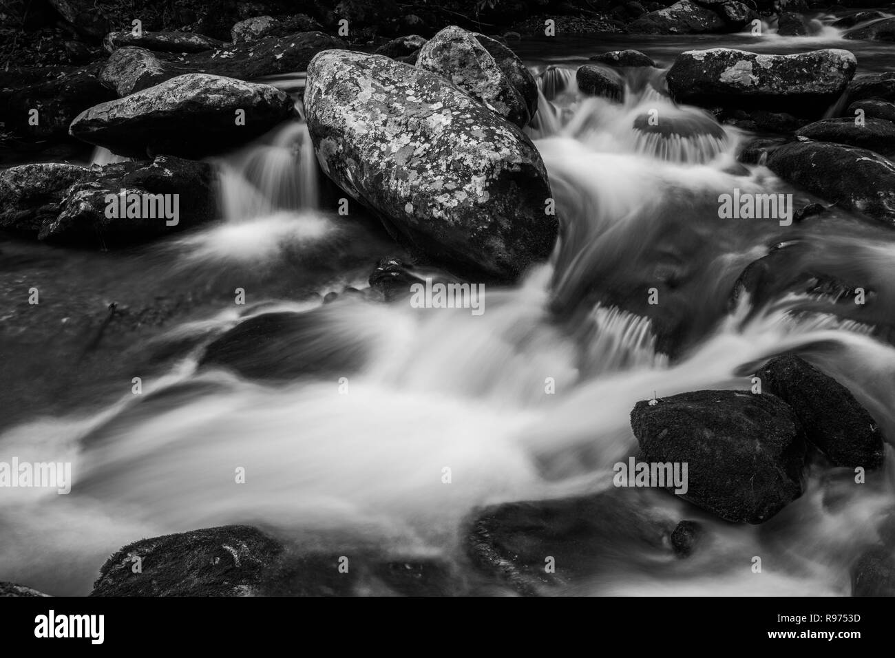 Des roches couvertes de lichen, Roaring Fork, Roaring Fork Motor Sentier nature, parc national des Great Smoky Mountains, New York Banque D'Images