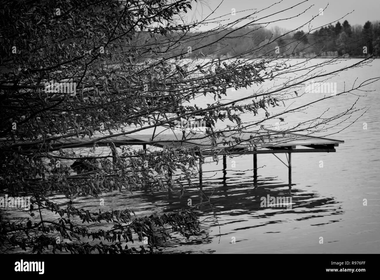 Détail du lac Szeki en Hongrie Banque D'Images