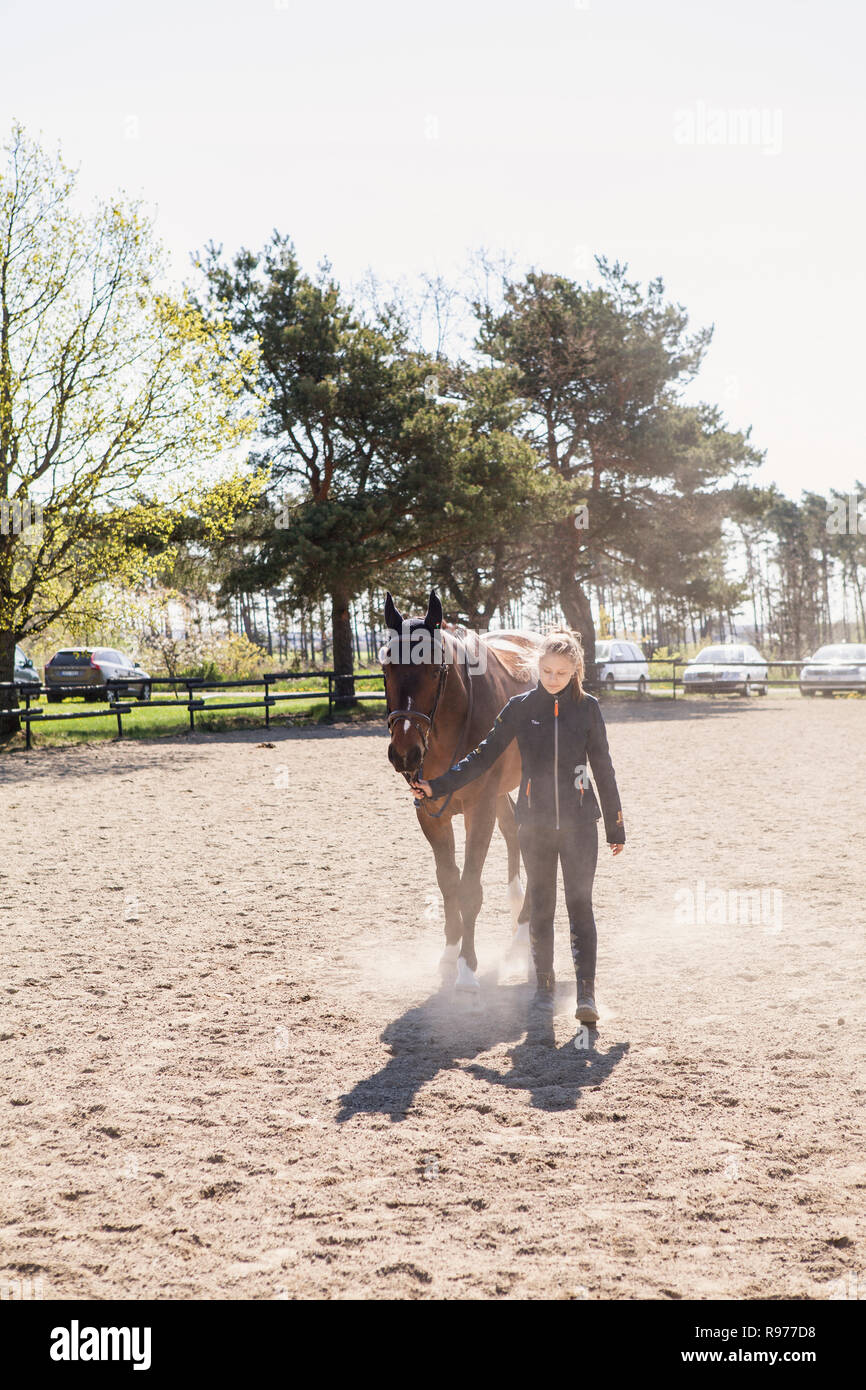 Adolescente menant un cheval en Suède Banque D'Images
