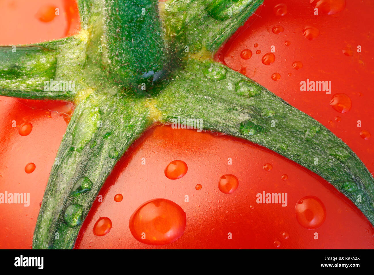 Détail d'une tomate mûre Banque D'Images