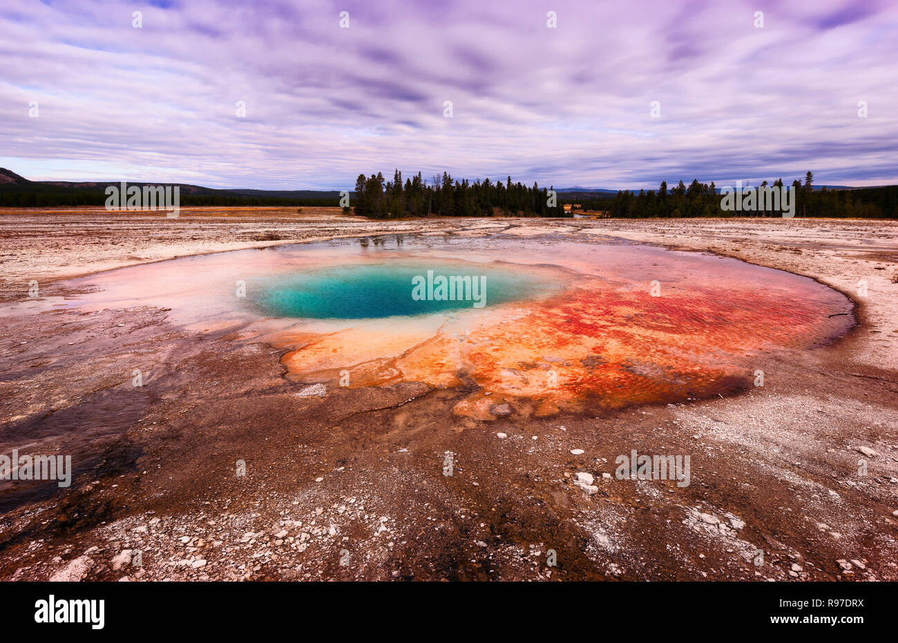 Grand Prismatic Spring, le Parc National de Yellowstone, Wyoming, USA Banque D'Images