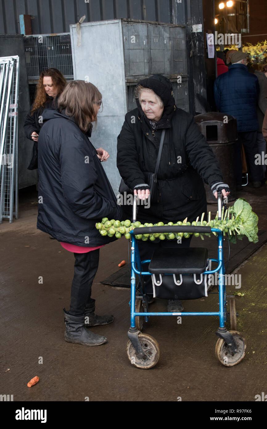 Pauvreté rurale Royaume-Uni. Brussel germe sur un marché de Noël de tige de bâton Norfolk East Angelia. Angleterre années 2010 2018 HOMER SYKES. Banque D'Images