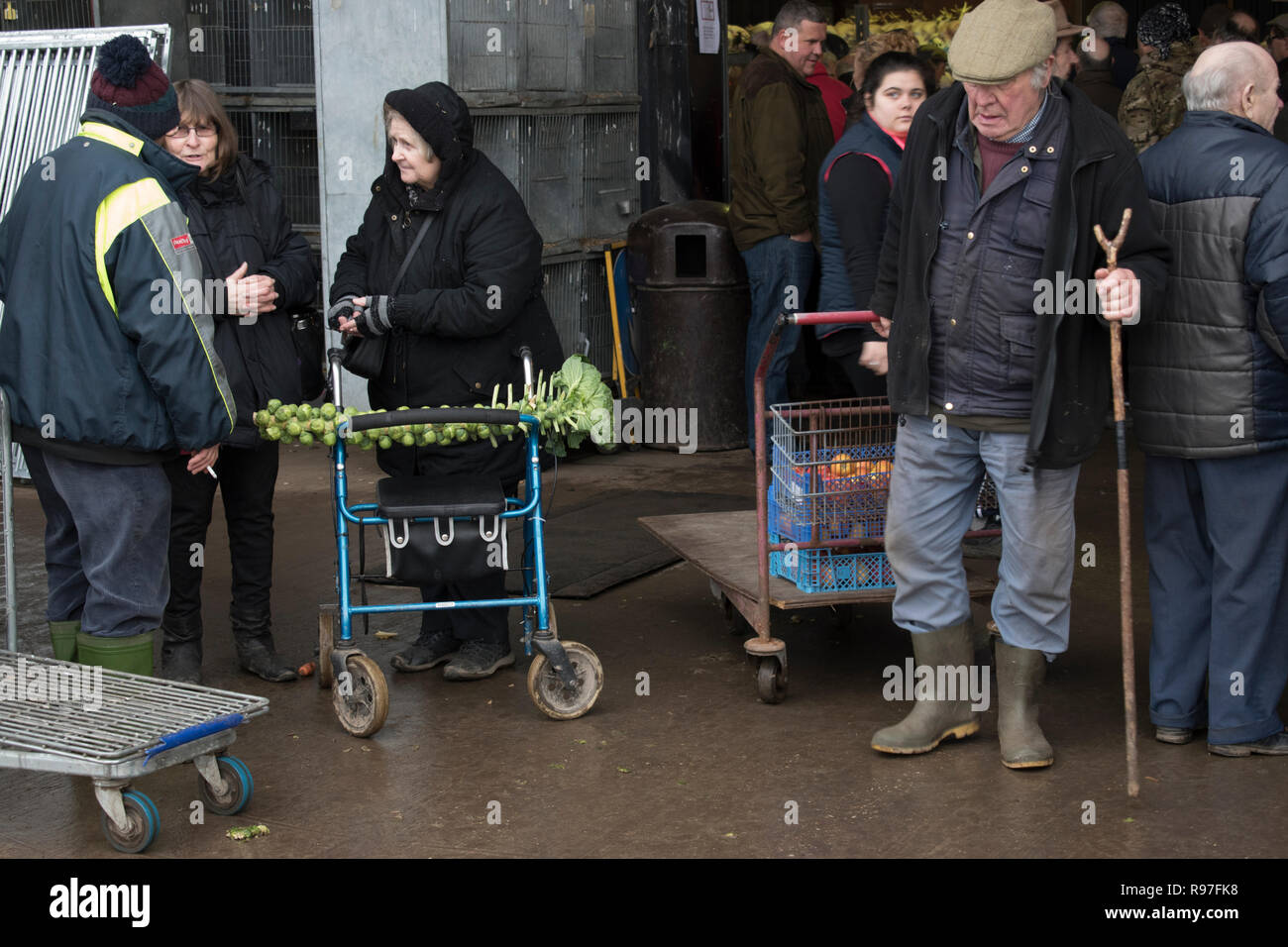 Pauvreté rurale Royaume-Uni. Brussel germe sur un marché de Noël de tige de bâton Norfolk Angleterre. HOMER SYKES des années 2018 2010. Banque D'Images