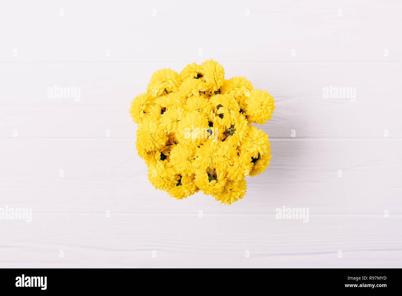 Vue de dessus rond jaune compact blanc bouquet sur fond de bois, d''une télévision. Banque D'Images