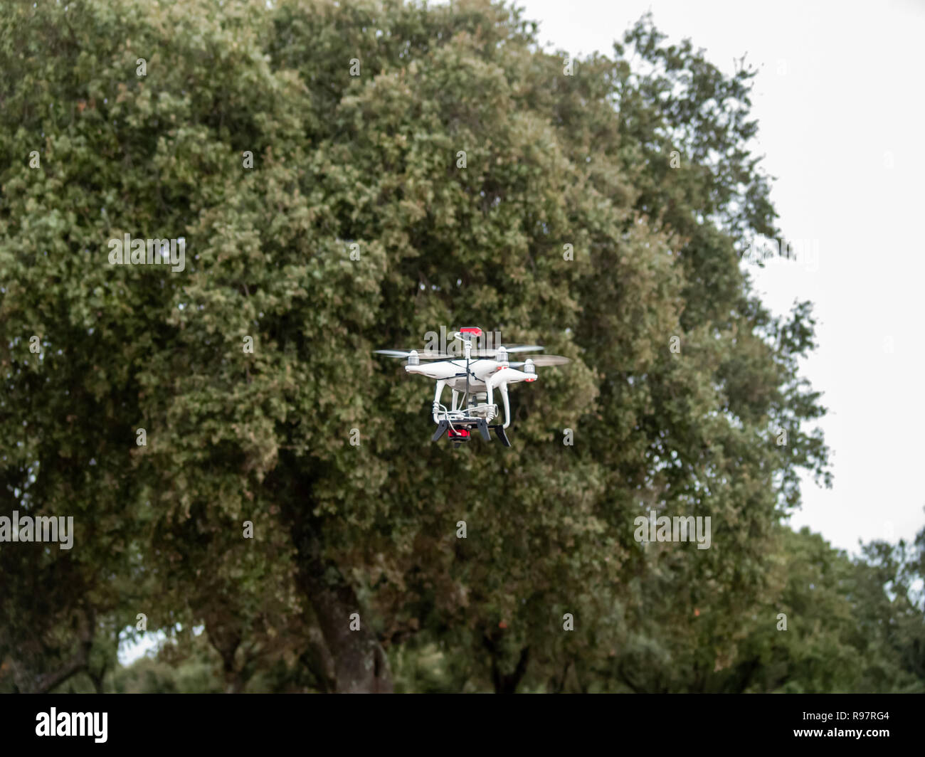 D'un drone en mouvement volant en forêt, dans le ciel nuageux et les arbres près de Banque D'Images