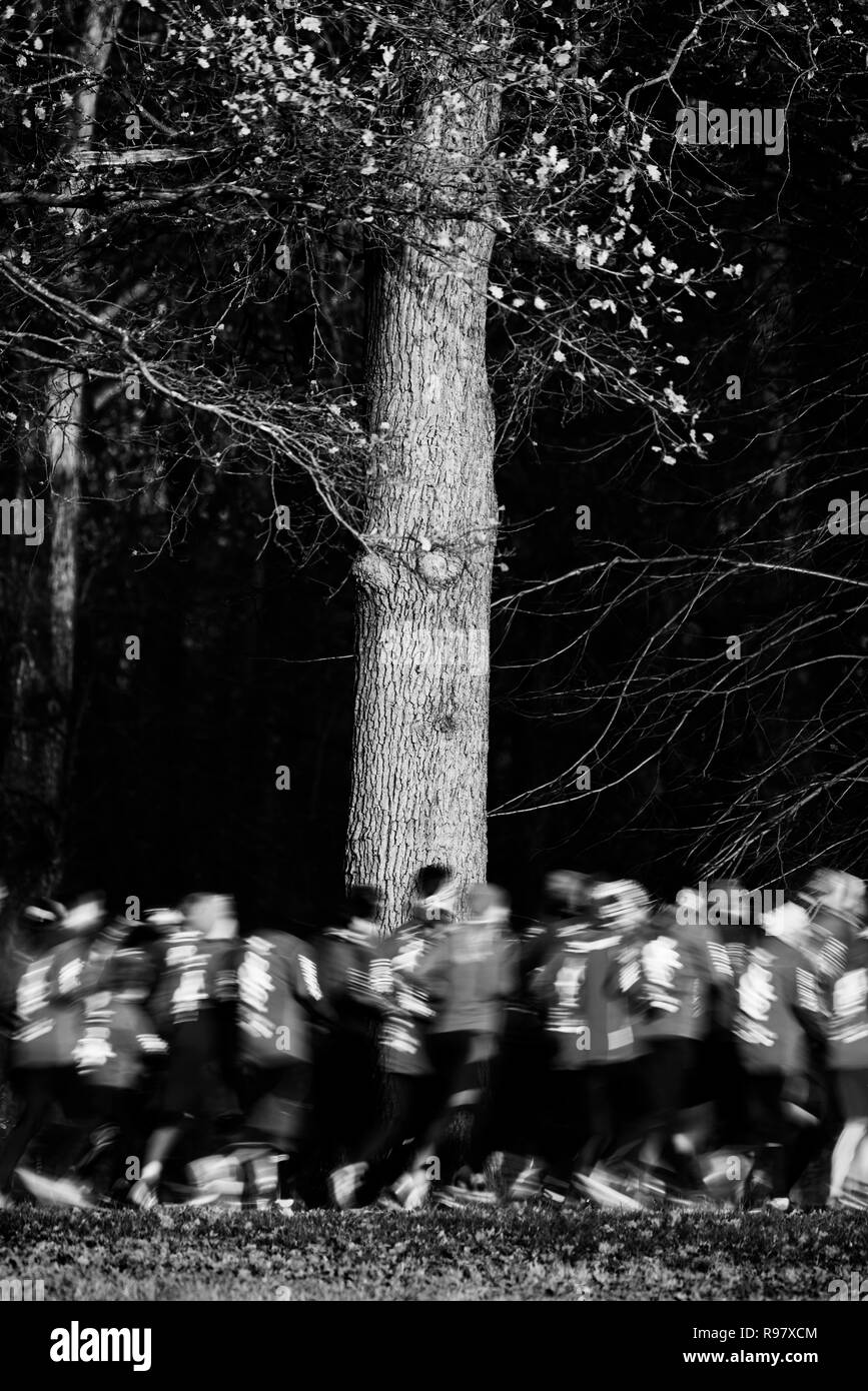 Course à pied dans le parc Banque D'Images