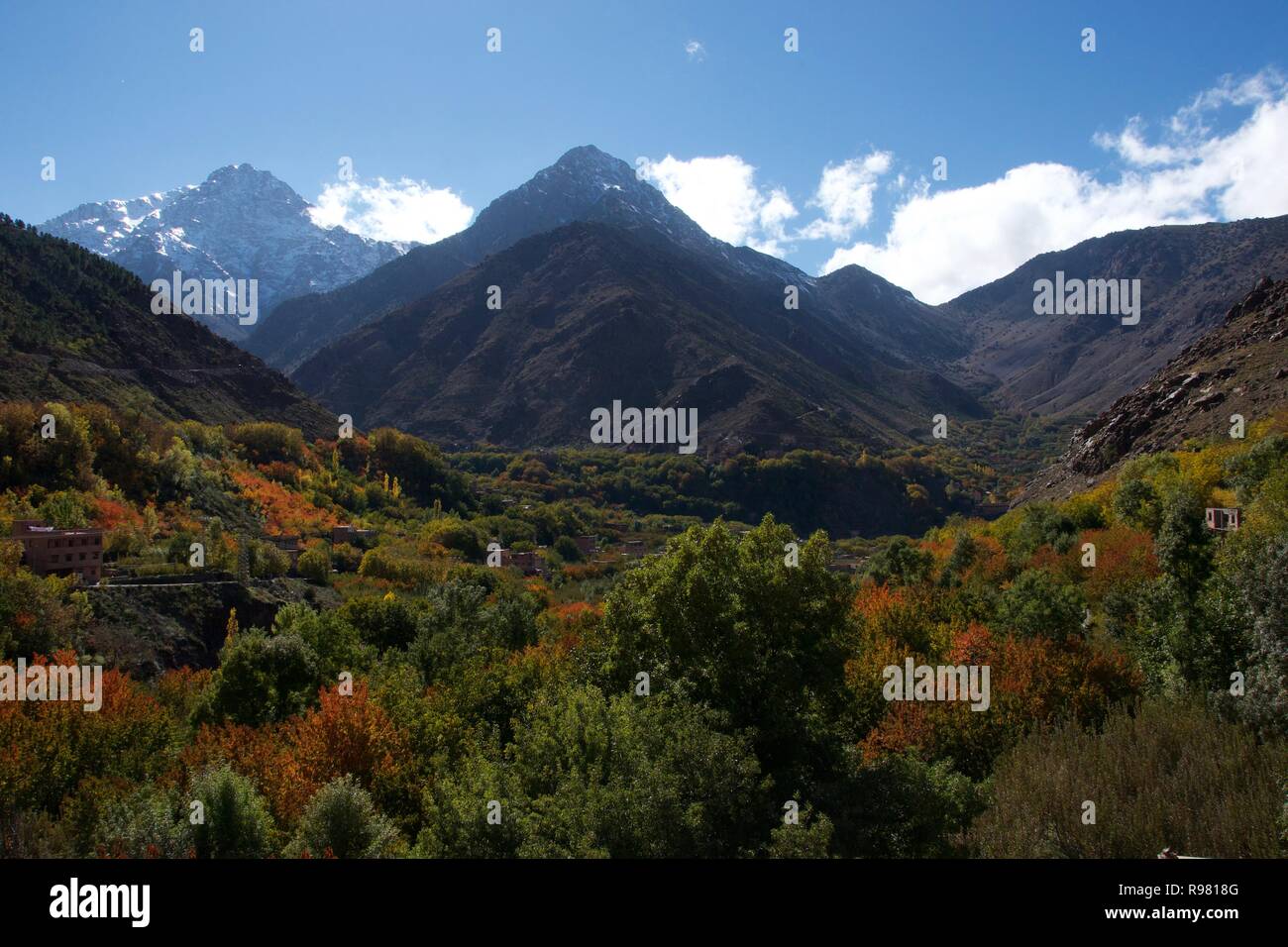 Les feuilles d'automne parsemée parmi la vallée d'Imlil boisées dans les contreforts de l'Atlas sur une journée ensoleillée, la neige à peine visible sur le dessus de la highe Banque D'Images