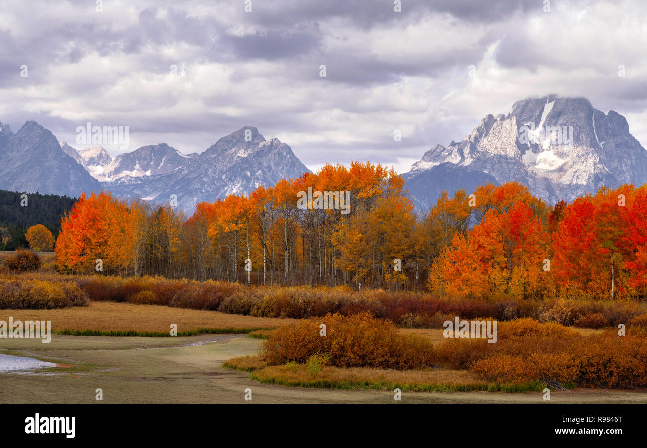 Oxbow Bend, Grand Teton National Park, Wyoming, USA Banque D'Images