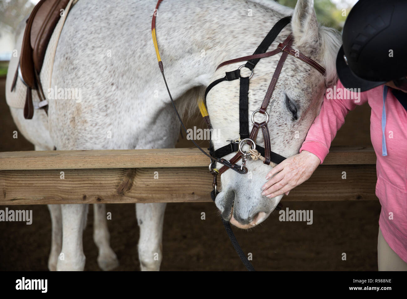 Woman Petting Horse on Ranch Banque D'Images