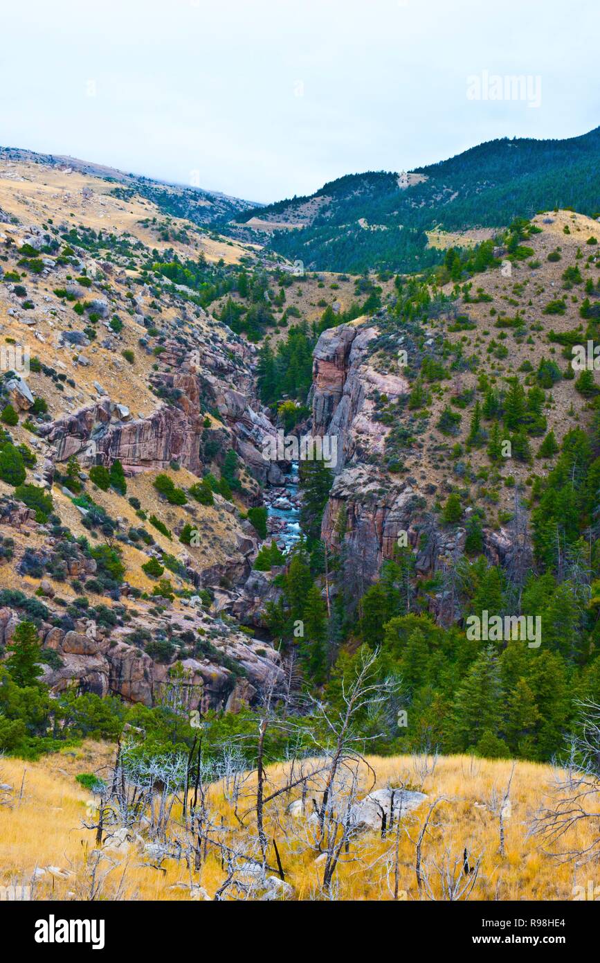 Wyoming, monts Bighorn Canyon Shell Banque D'Images