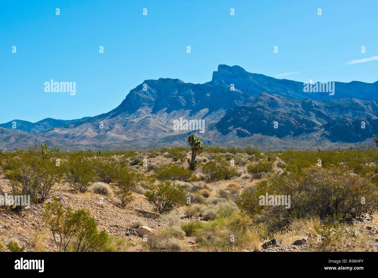 Le Nevada, Mesquite, Gold Butte National Monument, montagnes vierges Banque D'Images