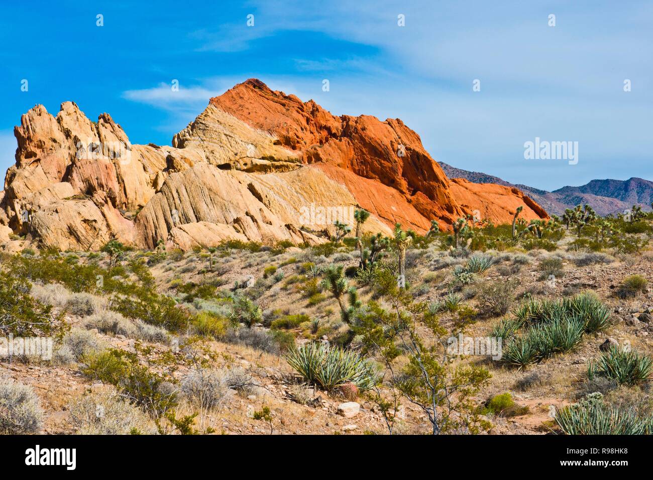 Le Nevada, Mesquite, Gold Butte National Monument, Whitney Pocket Banque D'Images