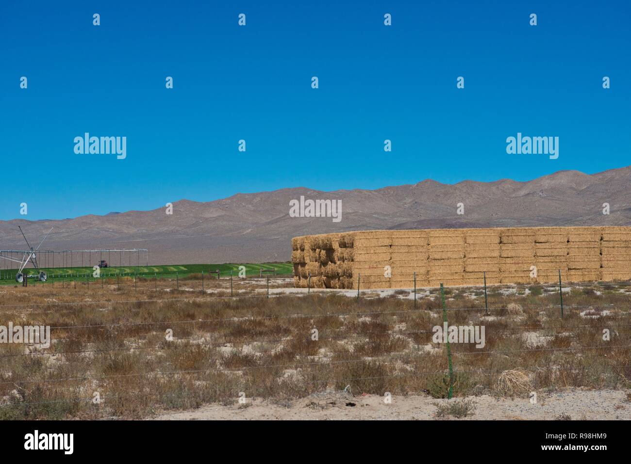 La Californie, Lida, Ranch, moment de la récolte, des balles de foin empilées Banque D'Images