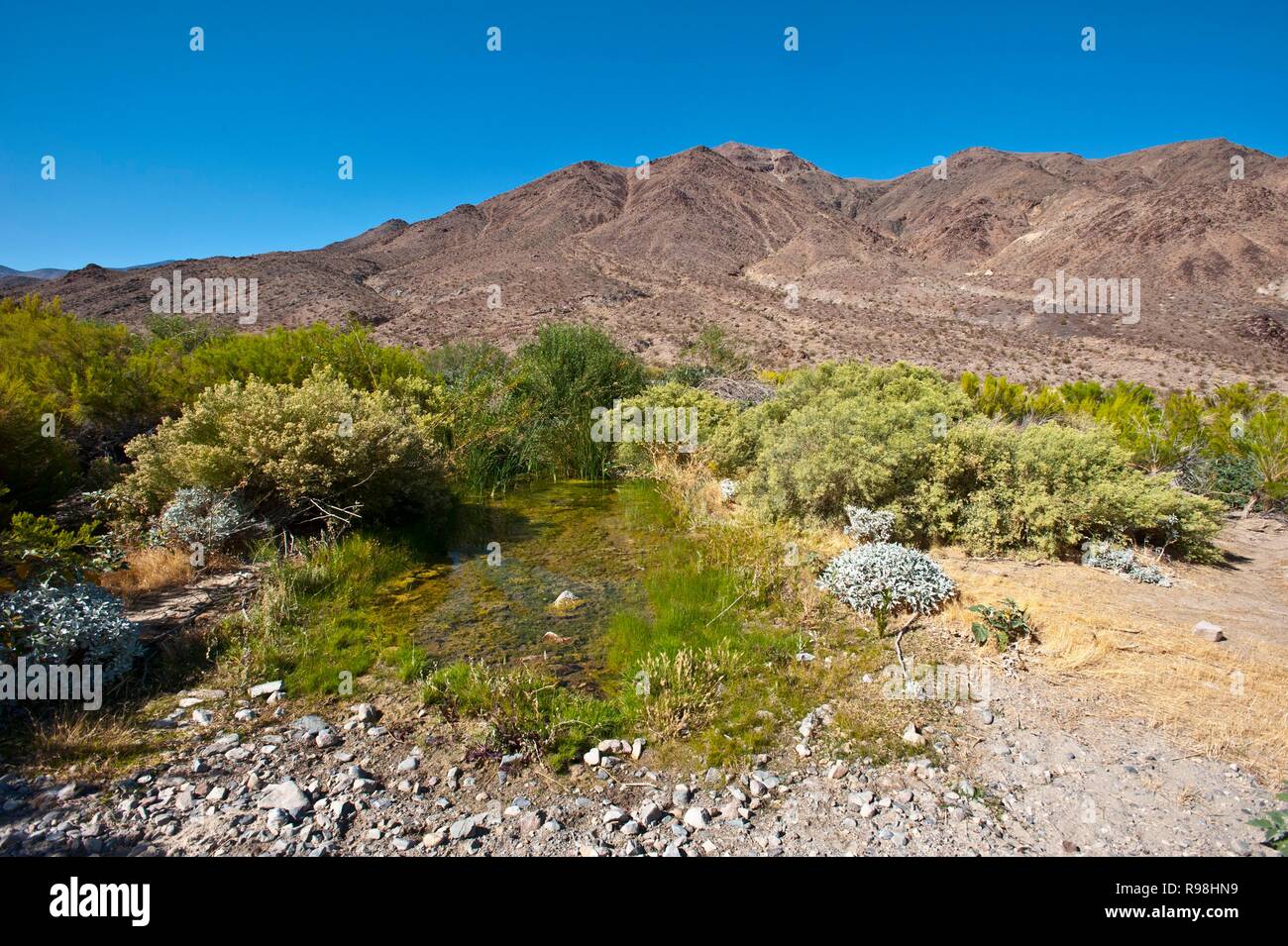 La Californie, Death Valley National Park Warm Springs Canyon Camps Printemps Chaud Banque D'Images