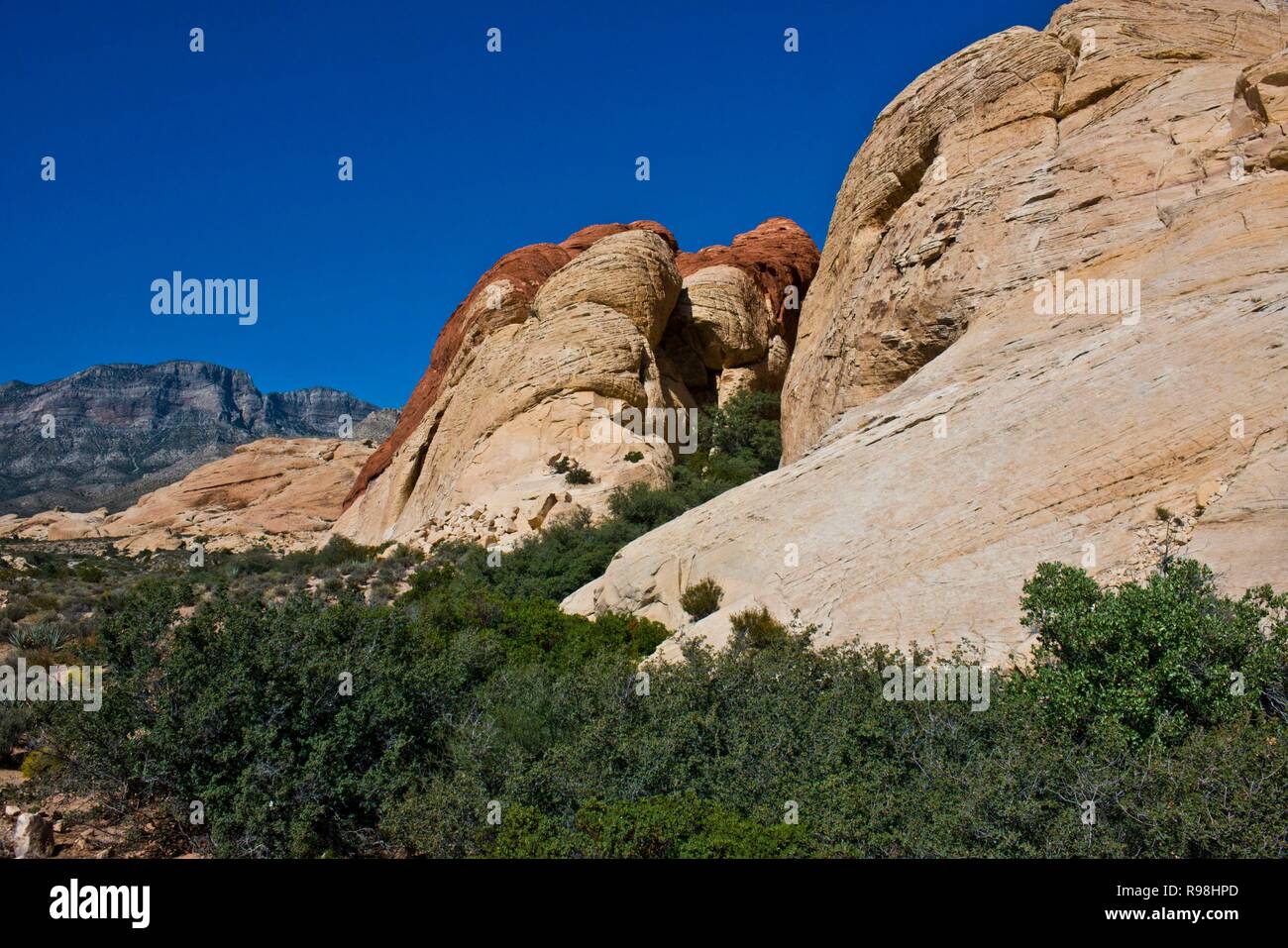 Nevada, Las Vegas, Red Rock National Conservation Area, Carrière de grès donnent sur Banque D'Images