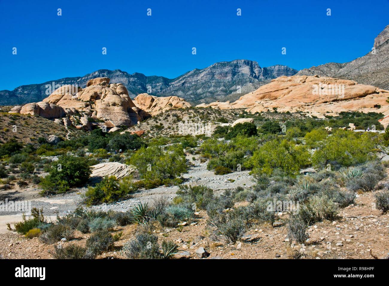 Nevada, Las Vegas, Red Rock National Conservation Area, Carrière de grès donnent sur Banque D'Images