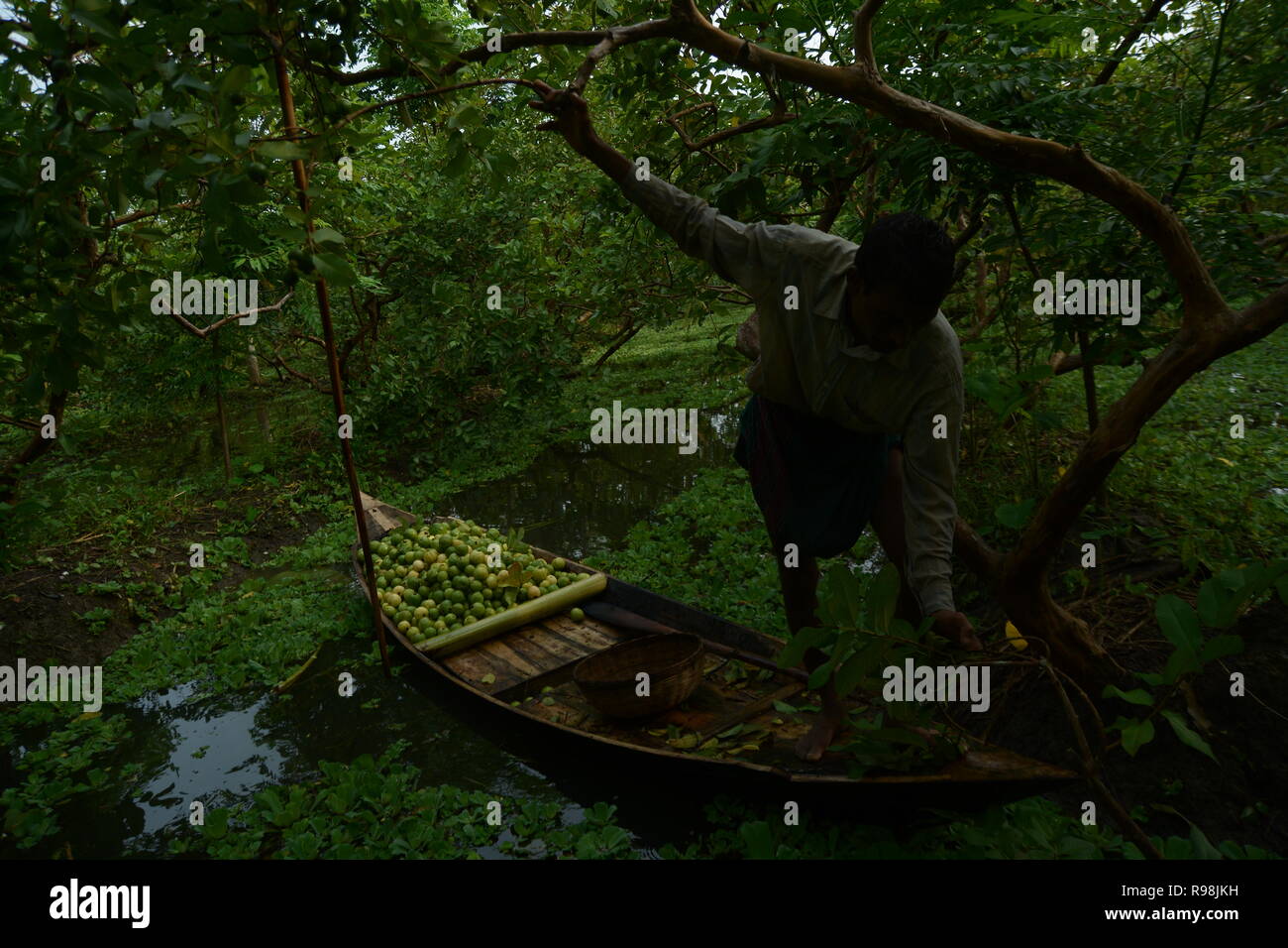 Marché Flottant , Barishal , Bangladesh Banque D'Images