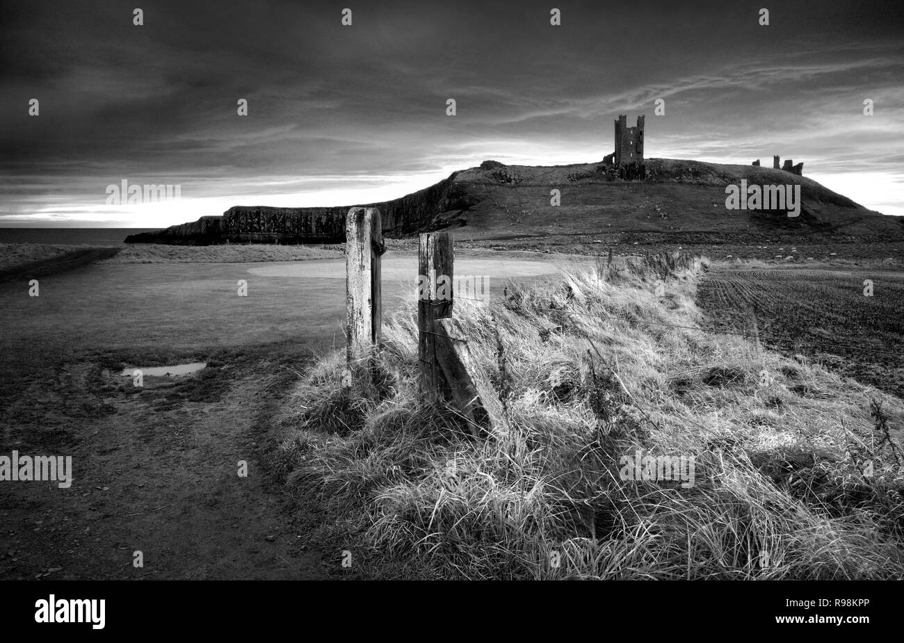 Château de Dunstanburgh (en mono), Northumberland, Angleterre (5) Banque D'Images