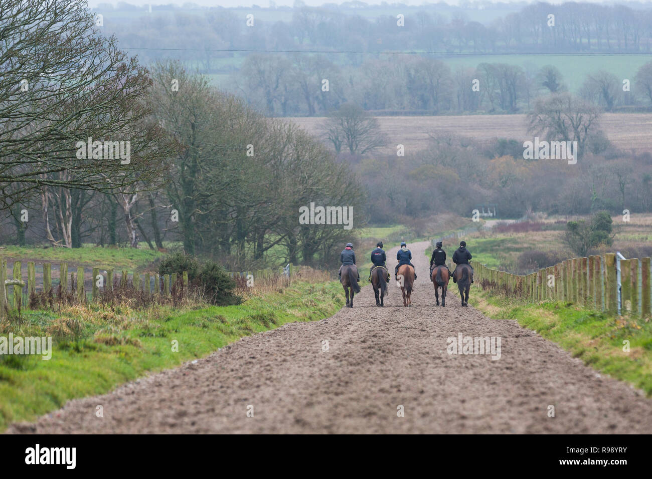 Cinq jockeys à cheval sur les gallops pour faire de l'exercice dans la campagne à Peter Bowen stables dans Pembrokeshire, pays de Galles Banque D'Images