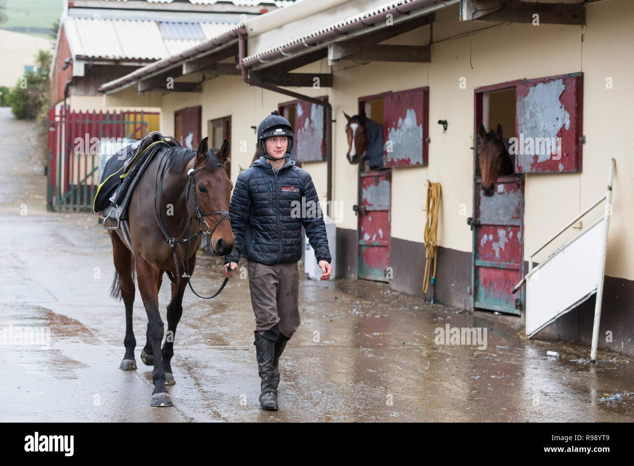 Une main / garçon / lad stable mène un cheval de course à travers une écurie d'autres chevaux à Peter Bowen stables dans Pembrokeshire, pays de Galles Banque D'Images