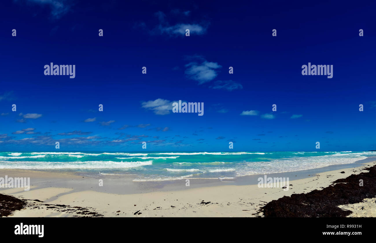 Vue panoramique sur la plage de Cayo Santa Maria, Cuba Banque D'Images