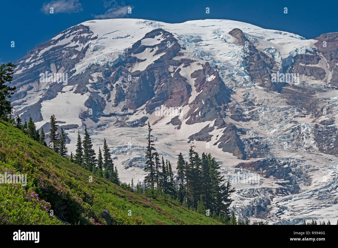 Les glaciers qui se profile au-dessus du Mont Rainier Ridge dans le Mont Rainier National Park à Washington Banque D'Images