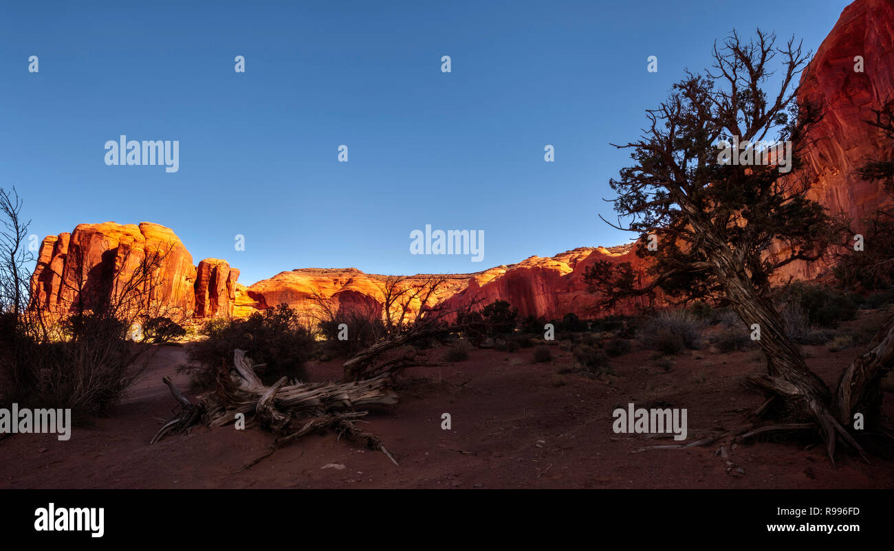 Monument Valley, Oljato-Monument Valley, Arizona, États-Unis Banque D'Images