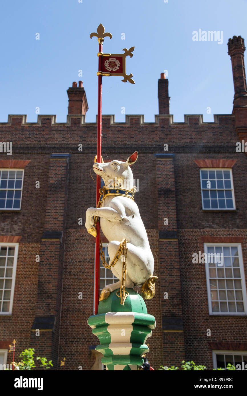 Londres, Royaume-Uni - Mai 11, 2018. Cochon dans la cour de l'hôtel Hampton Court Palace. Londres, Royaume-Uni - 11 mai 2018 Banque D'Images