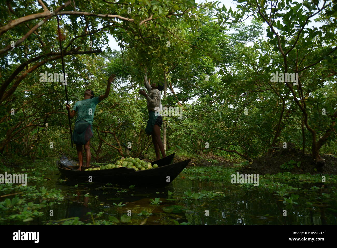 Marché Flottant , Barishal , Bangladesh Banque D'Images