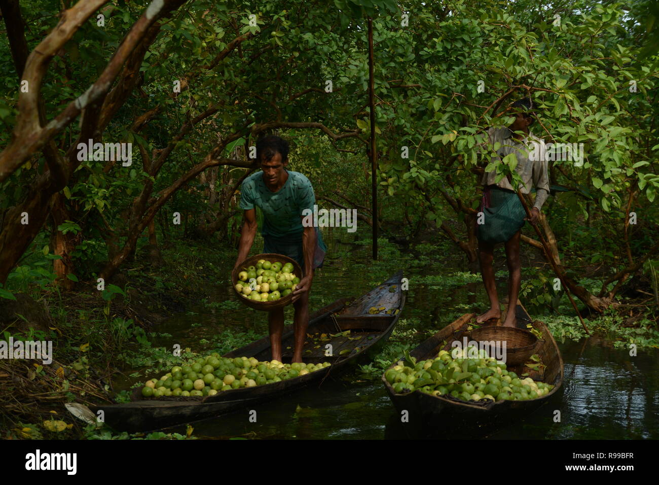 Marché Flottant , Barishal , Bangladesh Banque D'Images