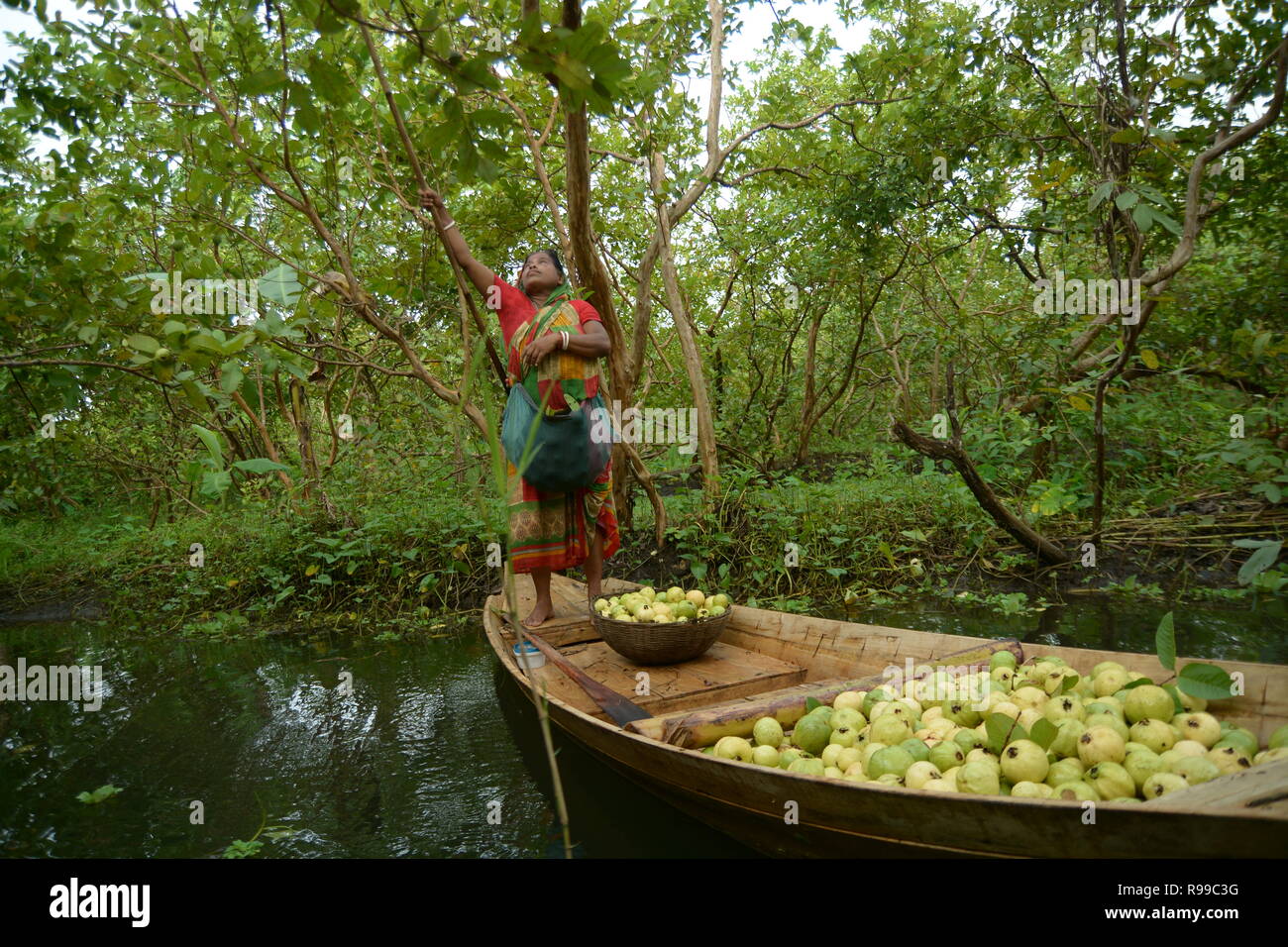 Marché Flottant , Barishal , Bangladesh Banque D'Images