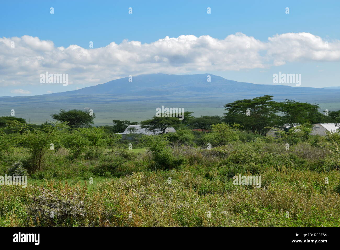 Le mont Longonot vu de Suswa Conservancy, Rift Valley, Kenya Banque D'Images