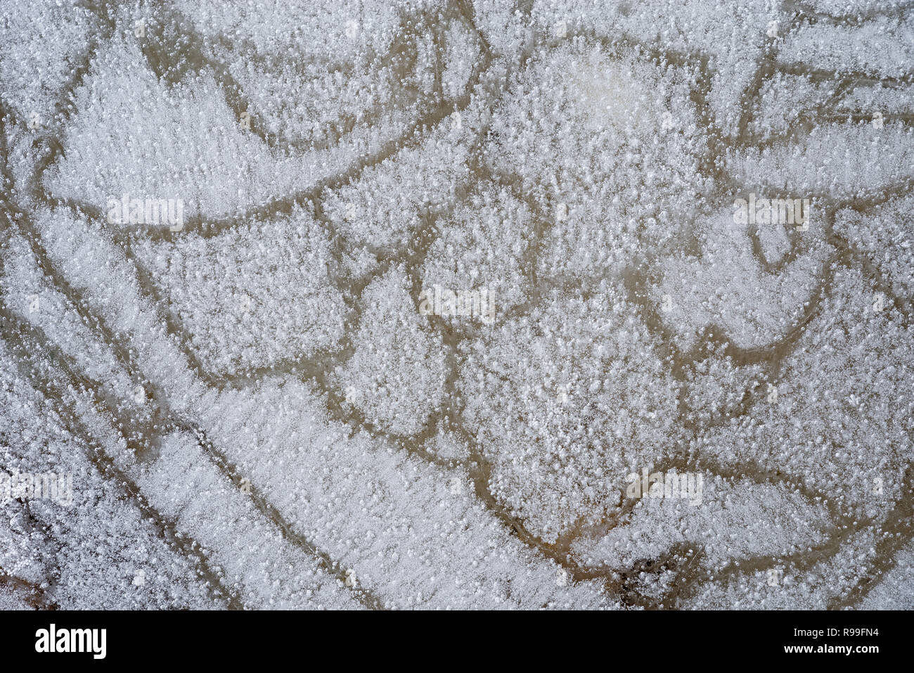 La surface de glace d'un étang gelé avec un modèle de bulles Banque D'Images