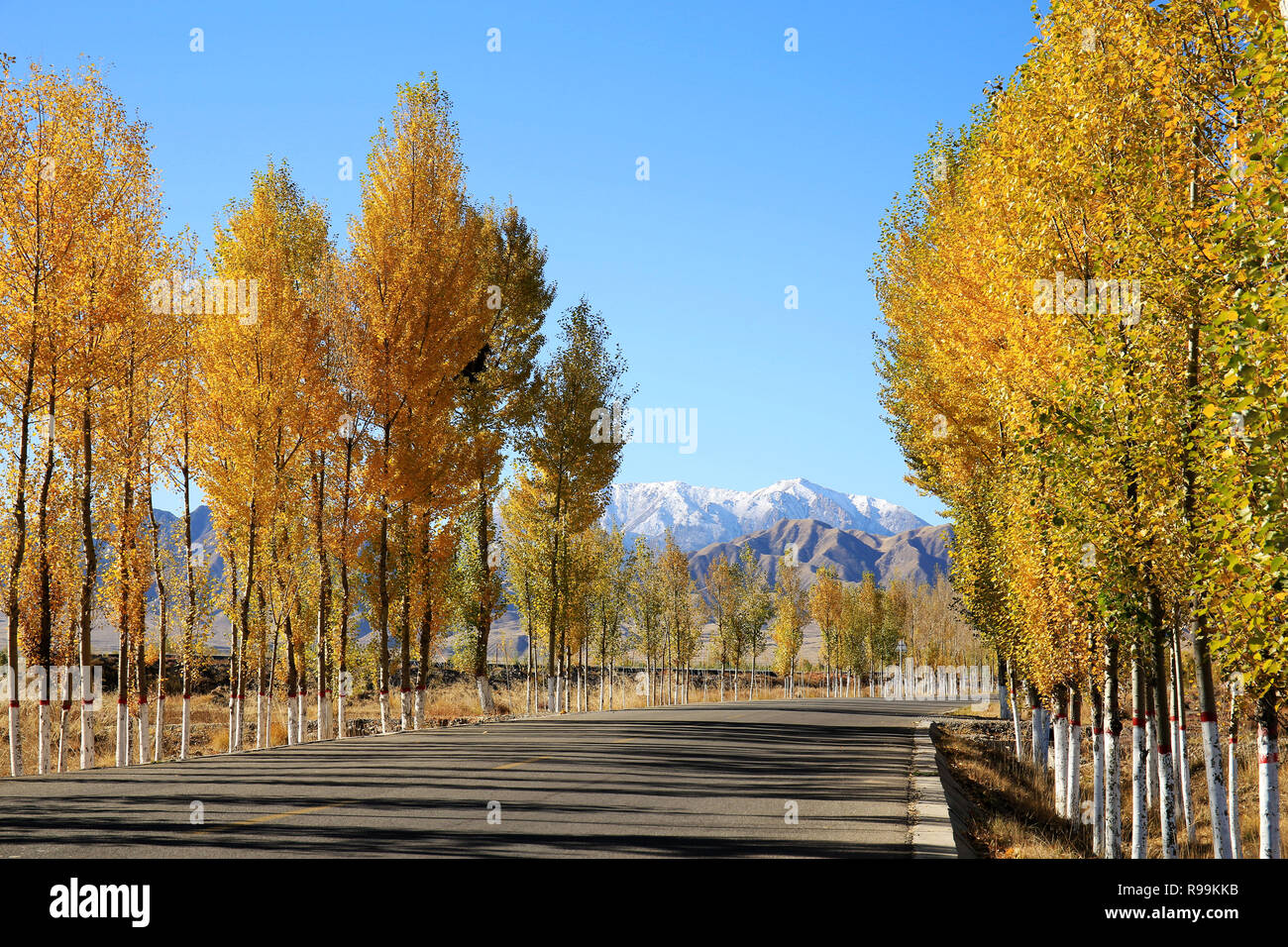 La beauté en Chine Banque D'Images