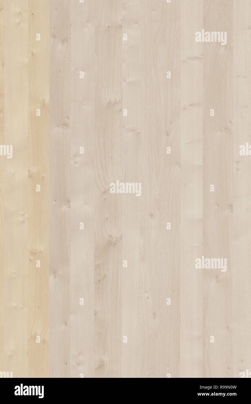 En bois d'acacia tree structure surface texture papier peint fond taille haute Banque D'Images