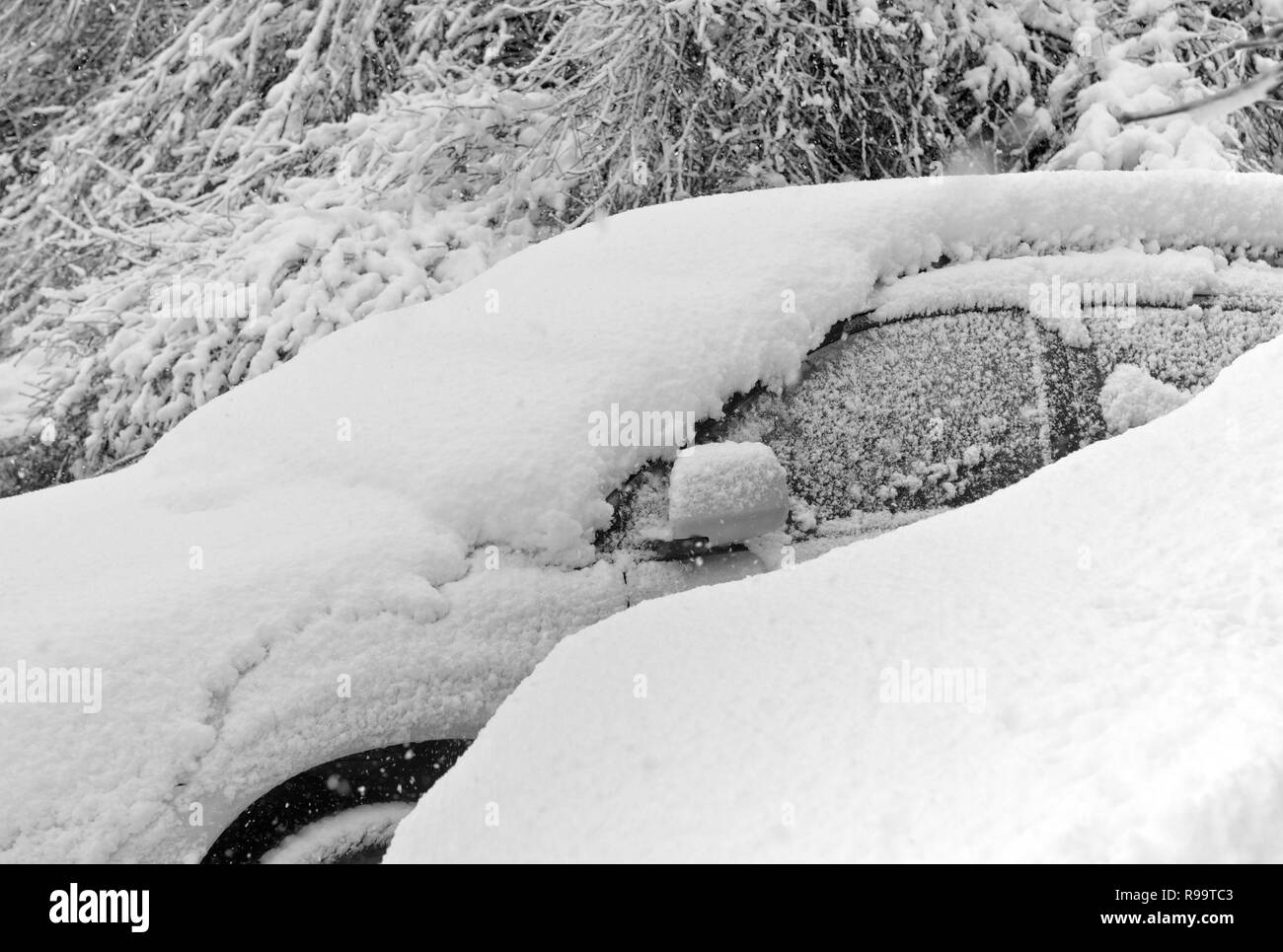 Les voitures d'hiver couverte de la neige fraîche et blanche Banque D'Images