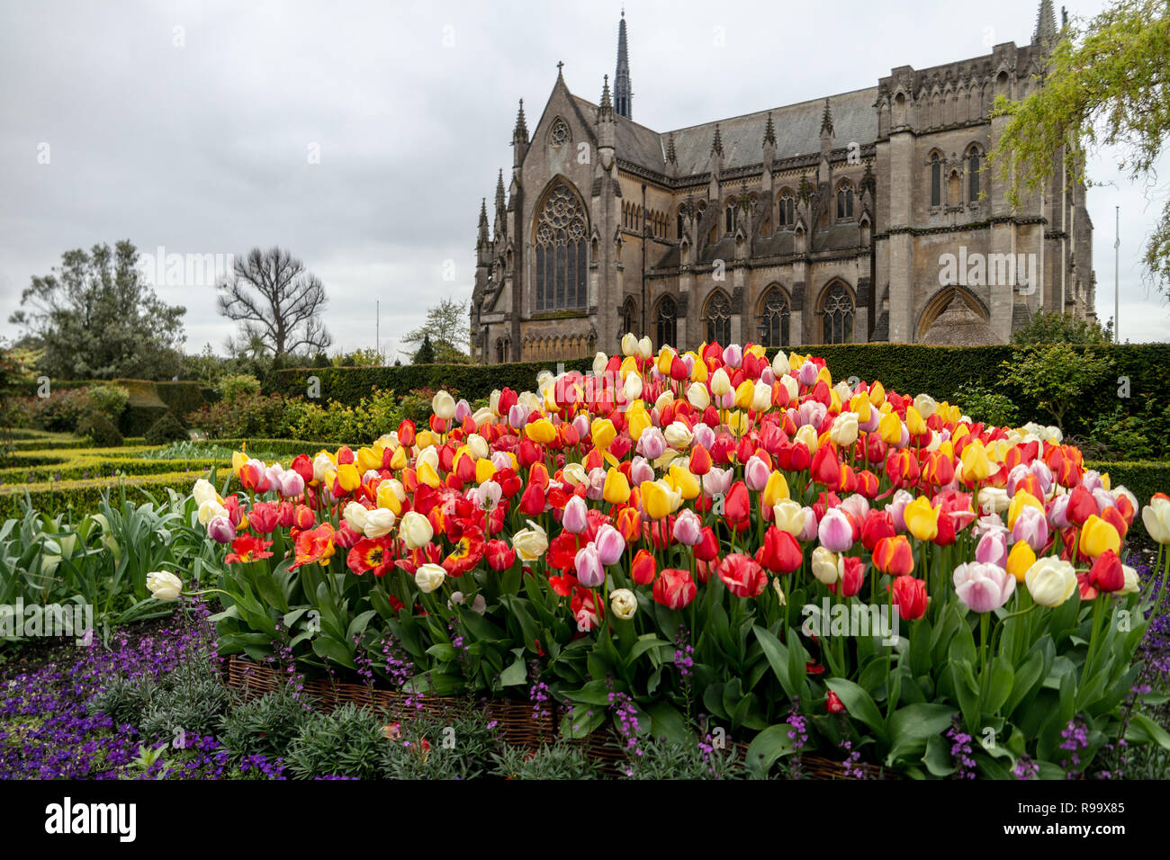Château d'Arundel festival. Banque D'Images