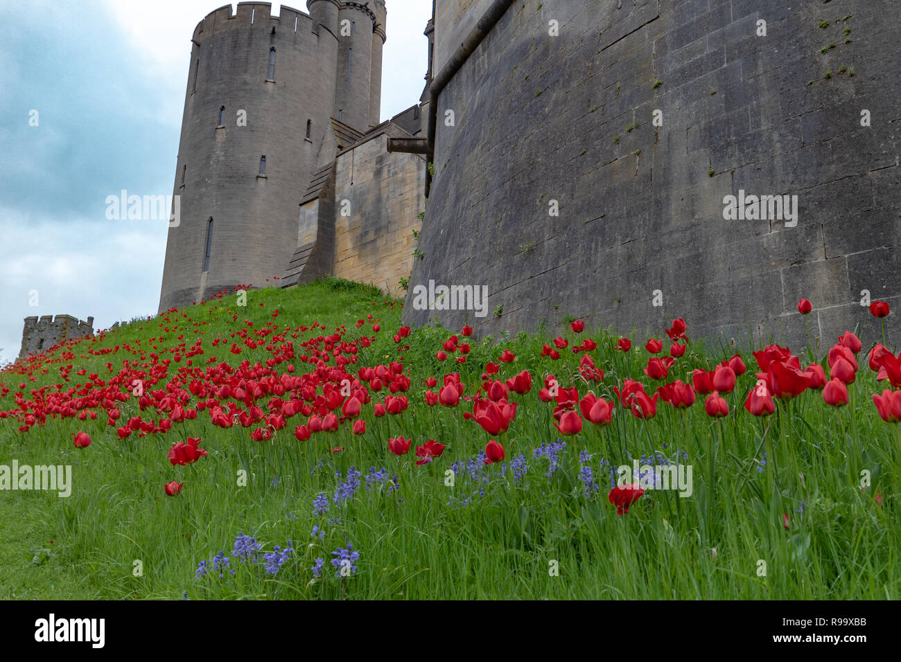 Château d'Arundel festival. Banque D'Images