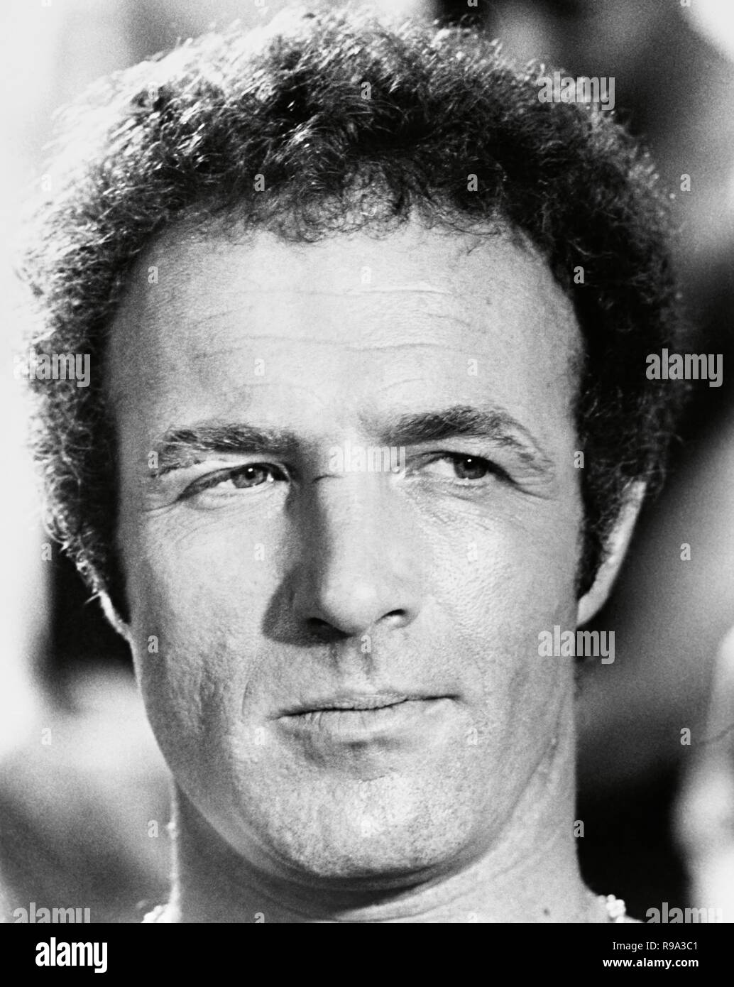 Titre du film original : THE KILLER ELITE. Titre en anglais : THE KILLER ELITE. Année : 1975. Réalisateur : SAM PECKINPAH. Stars : James Caan. Credit : United Artists / Album Banque D'Images