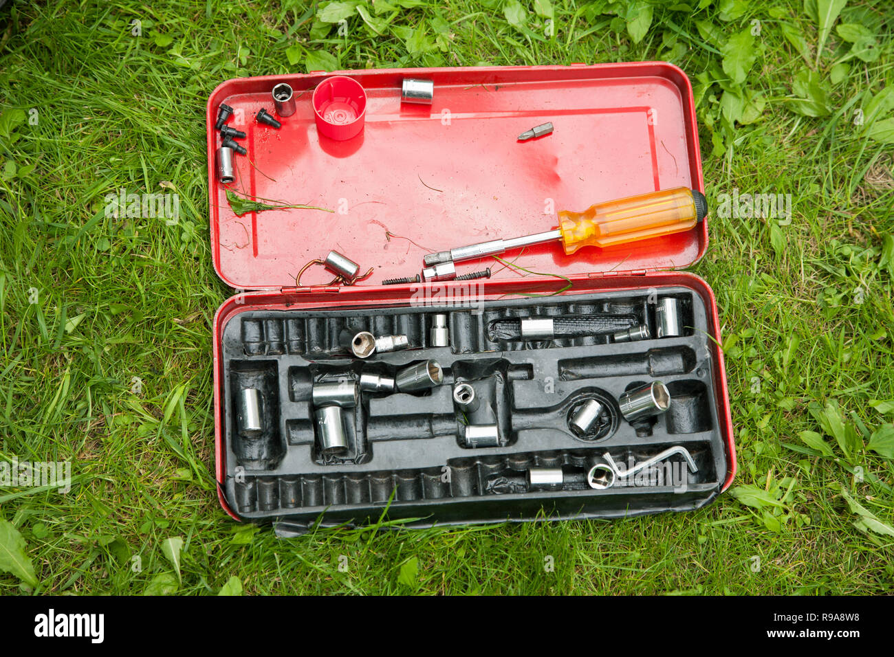 Main dans une boîte de métal rouge sur l'herbe Banque D'Images